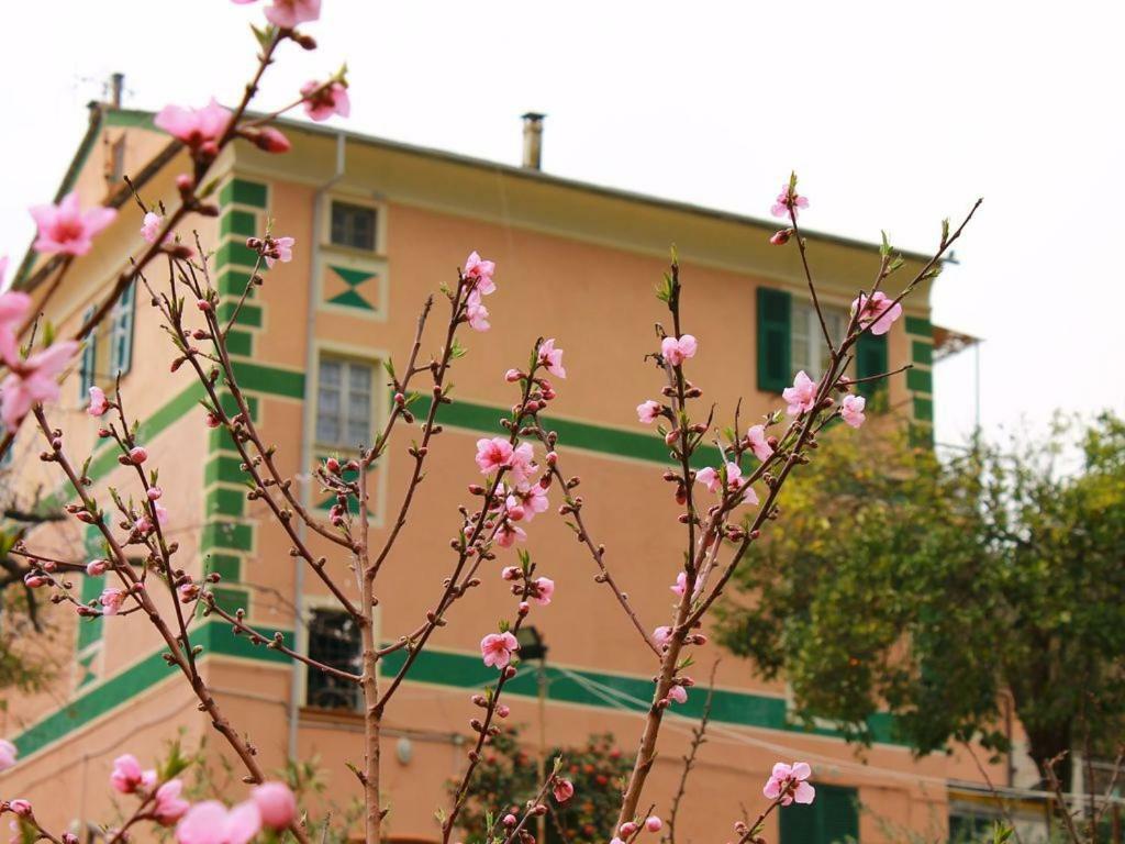 Appartamento Di Prestigio- Ca Da Lina - Deiva Marina Exterior foto